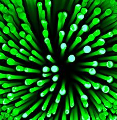 Mikroskop-Aufnahme: Protein-Erforschung geht voran (Foto: pixelio.de, Altmann) Mikroskop-Aufnahme: Protein-Erforschung geht voran (Foto: pixelio.de, Altmann)