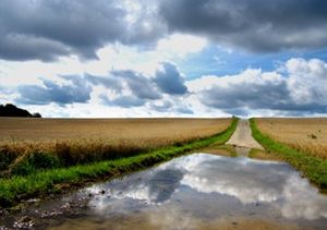 Wolken und Pfützen: Wettervorhersagen möglich (Foto: pixelio.de/R.Sturm)