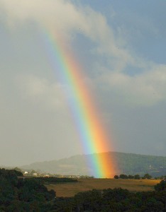 Regenbogen: Prognosen für Wetter und Klima immer besser (Foto: FlickrCC/Berlin)