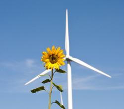 Windrad: EU zwingt Schweiz zu Öko-Energie (Foto: pixelio.de, Thorben Wengert) Windrad: EU zwingt Schweiz zu Öko-Energie (Foto: pixelio.de, Thorben Wengert)