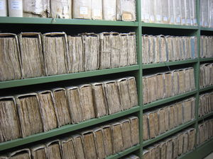 Regal: Verwaiste Werke dürfen nicht gescannt werden (Foto: pixelio.de/emilius)