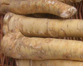 Meerrettich: Kann Kunststoffe verträglicher machen (Foto: Wikipedia, ccAnnaReg) Meerrettich: Kann Kunststoffe verträglicher machen (Foto: Wikipedia, ccAnnaReg)