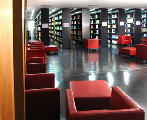 Bibliothek: Hochschule St. Gallen Spitzenreiter (Foto: pixelio.de/Rainer Sturm)