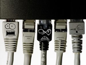 Ungebetene Gäste: Verbreiten sich gern im Social Web (Foto:pixelio.de/Klicker)