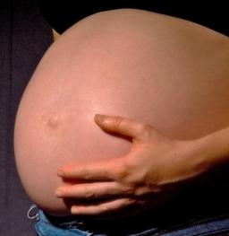 Bauch: Unfruchtbarkeit von Frauen geklärt (Foto: pixelio.de, Templermeister)
