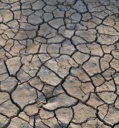 Ausgedörrter Boden: Waldbrandgefahr steigt (Foto: pixelio.de, jhonnyb)