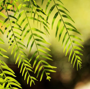 Blätter: Unternehmen informieren über Nachhaltigkeit (Foto: pixelio.de/H. Souz)