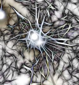 Synapse: Neues Modell verbessert Parkinson-Therapie (Foto: pixelio.de, Altmann)