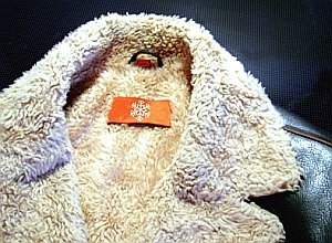 Winterjacke: Wirtschaft fehlt Pelz für kalten Winter (Foto: pixelio/Manwalk)