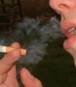 Raucher: Beifahrer sollen keinen Passivrauch einatmen (Foto: pixelio.de, seedo) Raucher: Beifahrer sollen keinen Passivrauch einatmen (Foto: pixelio.de, seedo)