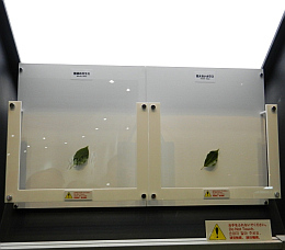 Vergleich: Normales Glas und 