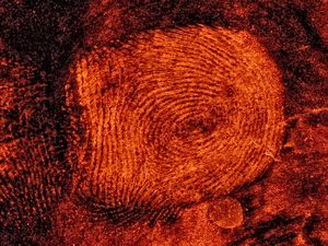 Abdruck: Wirtschaftskriminalität nimmt zu (Foto: pixelio.de/A. Bachert)