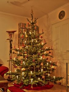 Weihnachtsbaum: Weihnachtsindustrie krisenfrei (Foto: pixelio.de/Michael Sömer)