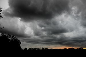 Sturm: Österreichs Wirtschaft bricht 2012 ein (Foto: pixelio.de/Tink66) Sturm: Österreichs Wirtschaft bricht 2012 ein (Foto: pixelio.de/Tink66)