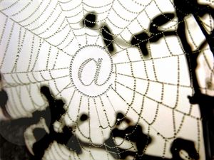 @-Spinnennetz: Internet-Provider täuschen User (Foto: pixelio.de/Pepsprog)