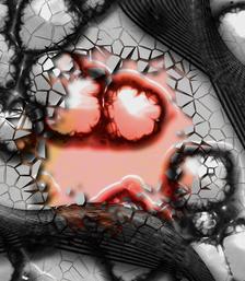 Illustration: Plasmazellen weiter erforscht (Foto: pixelio.de, G. Altmann)