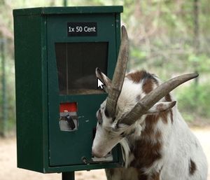 Ausgabe-Automat: Bedient nicht mehr wahllos (Foto: pixelio.de, W. Dirscherl)