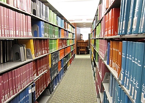 Bibliothek: Open Access für Verleger Dorn im Auge (Foto: Flickr/SelenaNBH)