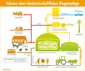 Schema: Kreislauf einer Biogasanlage (Foto: Fachagentur Nachwachsende Rohstoffe)