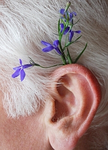 Ohr: Hörverlust im Alter bei Diabetes stärker (Foto: pixelio.de/Joujou) Ohr: Hörverlust im Alter bei Diabetes stärker (Foto: pixelio.de/Joujou)