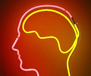 Leuchtendes Gehirn: Datenverarbeitung hat klare Grenze (Foto: Flickr/Schäfer)