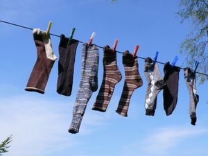 Socken-Leine: High-Tech-Manager wollen trendy sein (Foto: pixelio.de, jannon)