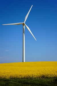 Windrad: Erneuerbare Energie spart Geld (Foto: Petra Bork)
