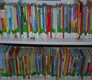 Bücher: Milliardengeschäft für Verlage (Foto: pixelio.de, D. Schütz)