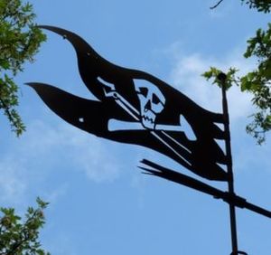 Piratenflagge: viele junge Menschen salutieren (Foto: pixelio.de, Dieter Schütz)