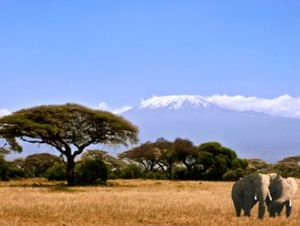 Afrika: viele Länder mit geringer Bandbreite (Foto: pixelio.de, Ulla Trampert)