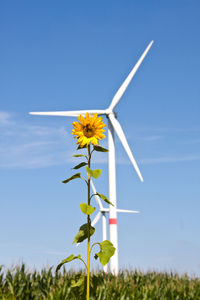 Windkraft: Öko-Anlagen für Deutsche nicht wichtig (Foto: pixelio.de/T. Wengert)