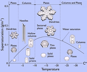 Schneekristalle: Spiegel von Feuchte und Kälte der Luft (Bild: Libbrecht 2005)