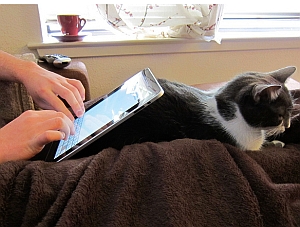 iPad mit Katze: Zu viele Geräte, zu wenig Breitband (Foto: Flickr/Belmont)