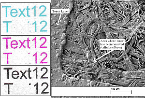 Zellstoff: Grüne Laserimpulse entfernen Toner (Foto: cam.ac.uk)
