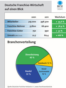 DFV auf einen Blick (Grafik: DFV)