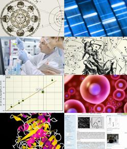 Bilder der Forschung: Informationsaustausch wichtig (Foto: elsevier.com) Bilder der Forschung: Informationsaustausch wichtig (Foto: elsevier.com)
