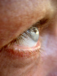 iOptik: Soldaten sehen Befehle durch Linse (Foto: pixelio.de/alexandrah)