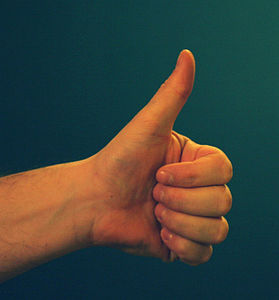 Thumbs up: Kundenrezensionen sind extrem kaufentscheidend (Foto: Flickr/.reid.)