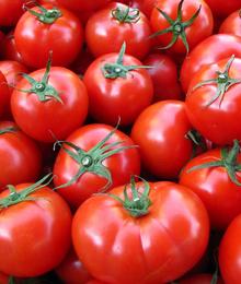 Tomaten: biologisch angebaut am besten (Foto: pixelio.de, Rainer Sturm)
