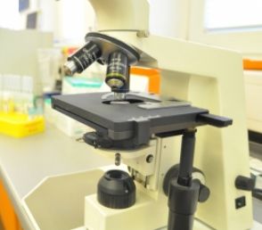 Mikroskop: Facebook untersucht User-Daten genau (Foto: pixelio.de, M. Bührke)