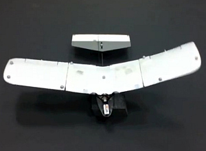 Flugroboter: Entwicklung aus Illinois beherrscht Vogellandung (Foto: uiuc.edu)