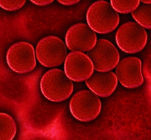 Blutkörperchen: Neuer Bluttest ist laiensicher (Foto: pixelio.de/geralt) Blutkörperchen: Neuer Bluttest ist laiensicher (Foto: pixelio.de/geralt)