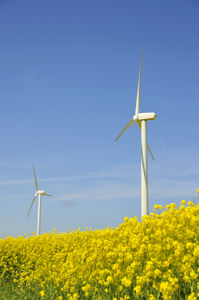 Windrad: Investoren bei Öko-Investments zurückhaltend (Foto: pixelio.de/P.Bork)