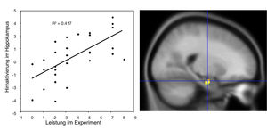 Gehirn: Hirnaktivierung im Hippokampus (Foto: CCLM, Universität Bern)