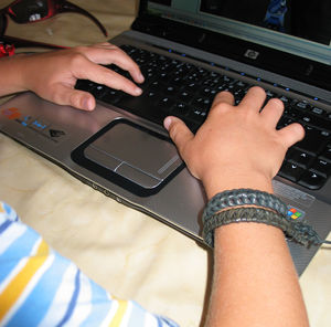 Laptop: Blizzard verliert Kunden (Foto: pixelio.de, Joujou)