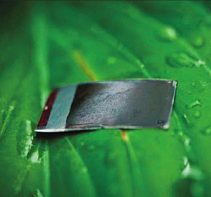 Kunstblatt: Sandwich-Konstruktion erzeugt Wasserstoff (Foto: MIT) Kunstblatt: Sandwich-Konstruktion erzeugt Wasserstoff (Foto: MIT)