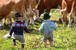 Ein Paradies für Kids (Foto: Steiermark Tourismus, photo-austria.at)