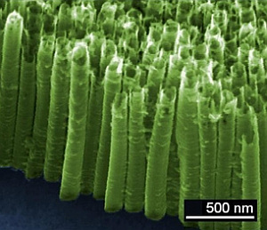Nanoröhrchen: Größere Oberfläche steigert Sensibilität (Foto: Fabien Schnell)