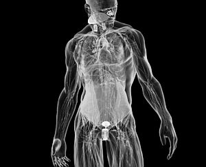 Kunstorgane: Knappheit inspiriert Künstler (Foto: Takram Design/Bryan Christi)