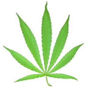 Marihuana: bekehrte angeblich Ex-Nazis (Foto: pixelio.de, manwalk)